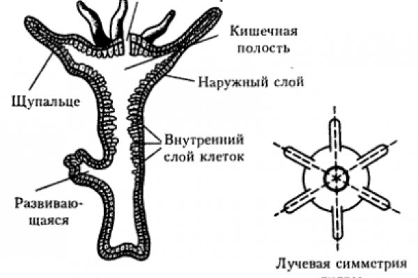 Блэкспрут заказ наркотиков